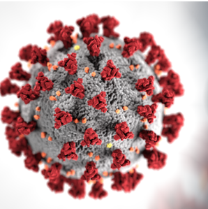 Ever Changing Financial Impact of COVID-19